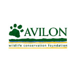 Avilon