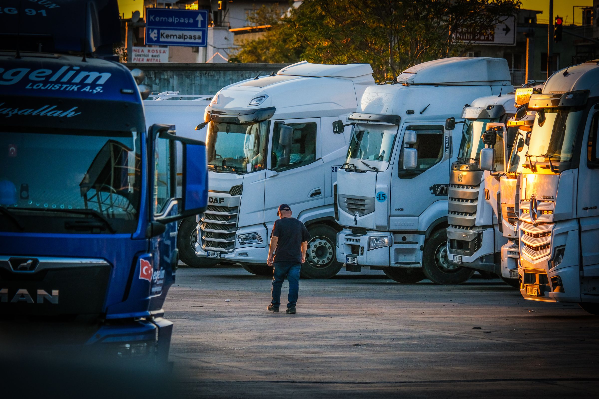 Fleet of trucks lined up in a yard.